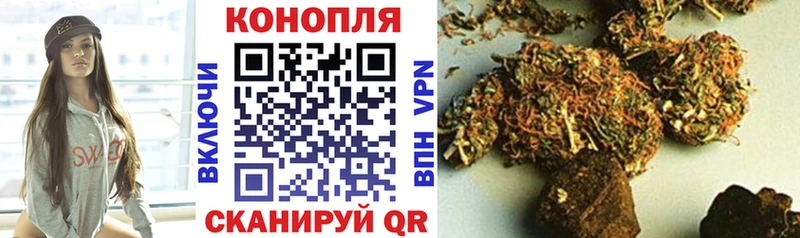 Шишки марихуана марихуана  Новосокольники 